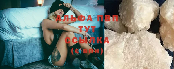 индика Горняк