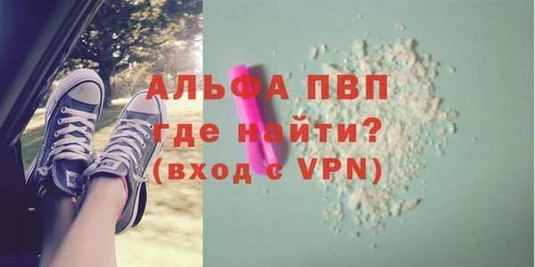 индика Горняк