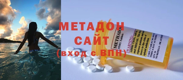 индика Горняк