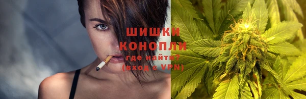 индика Горняк