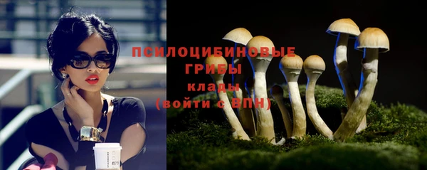 индика Горняк