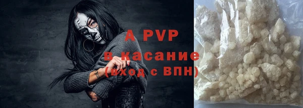 индика Горняк