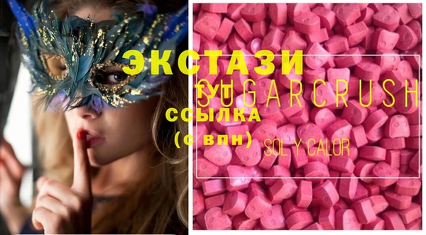 индика Горняк