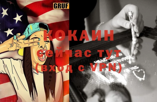 индика Горняк