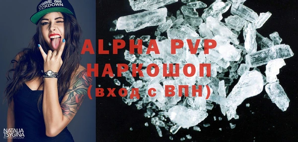 индика Горняк