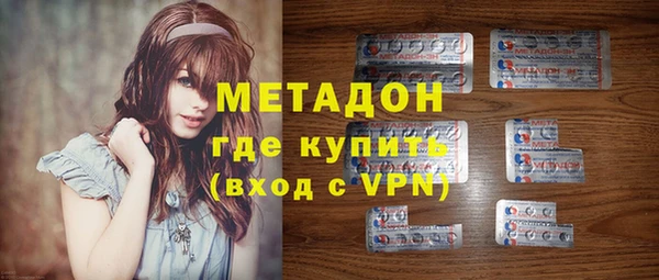 индика Горняк