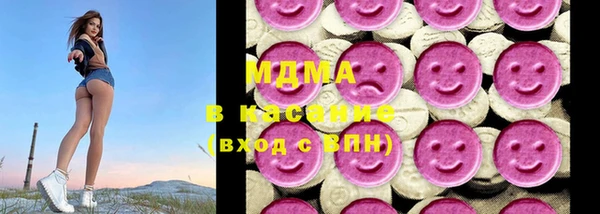 индика Горняк